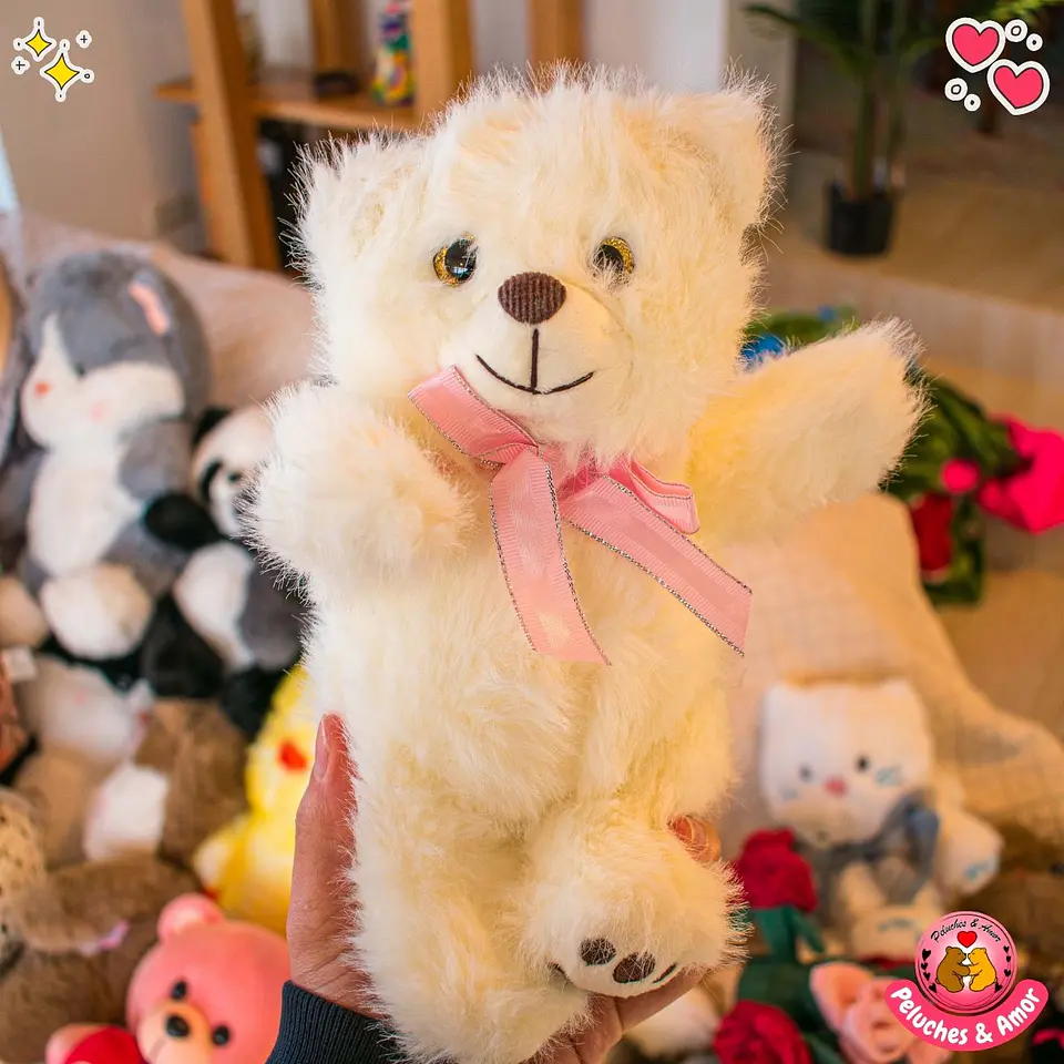 Peluche de Osito Suavecito 25 CM 1