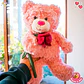 Peluche de Osito Tierno con Rosita Roja 30 CM - Miniatura 2