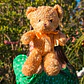 Peluche de Osito 30 CM Café Claro - Miniatura 2