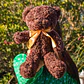 Peluche de Osito 30 CM Café Oscuro - Miniatura 2