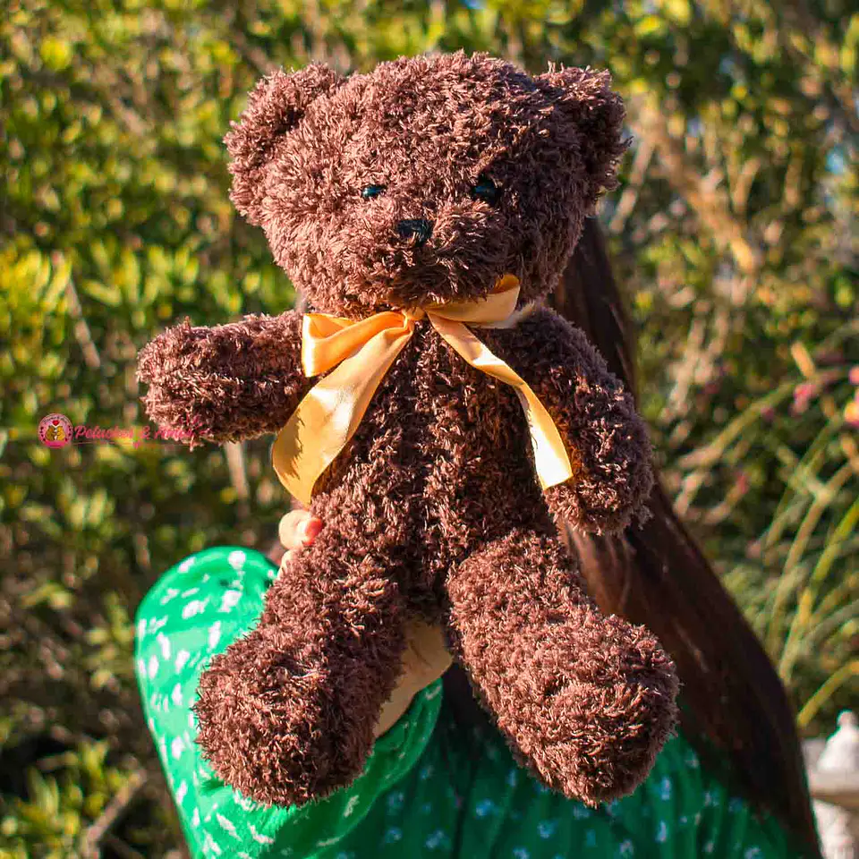 Peluche de Osito 30 CM Café Oscuro 2