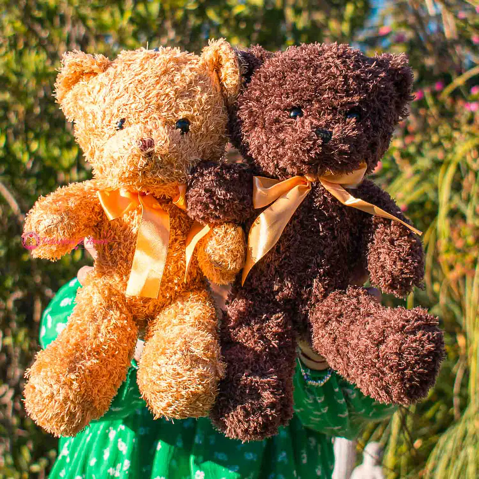 Peluche de Osito 30 CM Café Oscuro 3