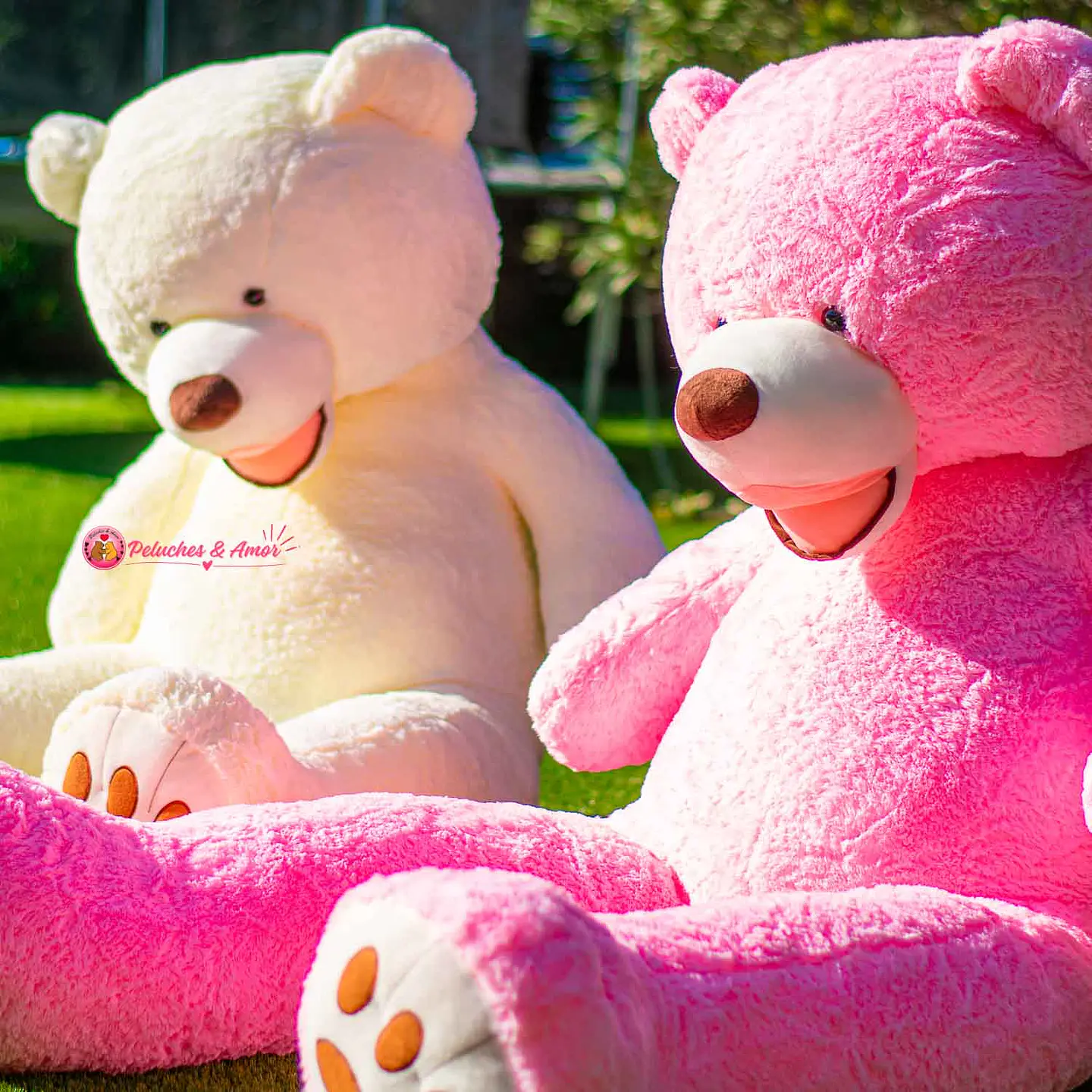 OSO Gigante Amer 200 CM 3