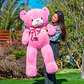 OSO Gigante Harmony 140 CM - Miniatura 1