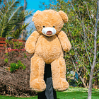 OSO Gigante Bandana 140 CM 4