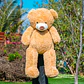 OSO Gigante Bandana 140 CM - Miniatura 4