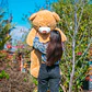 OSO Gigante Bandana 140 CM - Miniatura 6