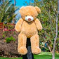 OSO Gigante Bandana 120 CM - Miniatura 4
