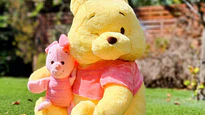 🐷| Peluches de Animales