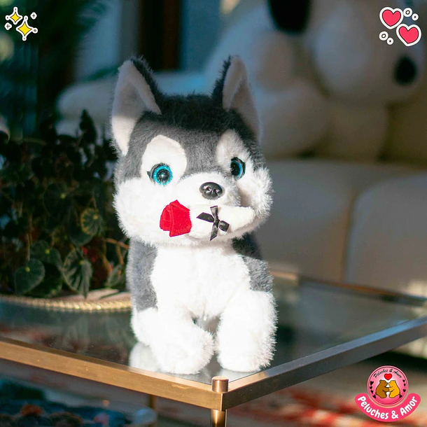 Perrito Romantico con Rosita 2