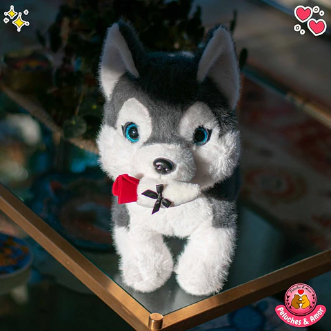 Perrito Romantico con Rosita