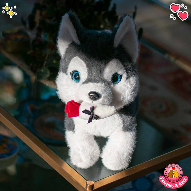 Perrito Romantico con Rosita 1