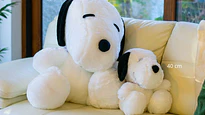🐷| Peluches de Animales