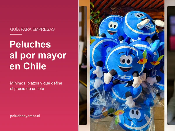 Peluches al por mayor en Chile: cómo funciona un pedido por lote
