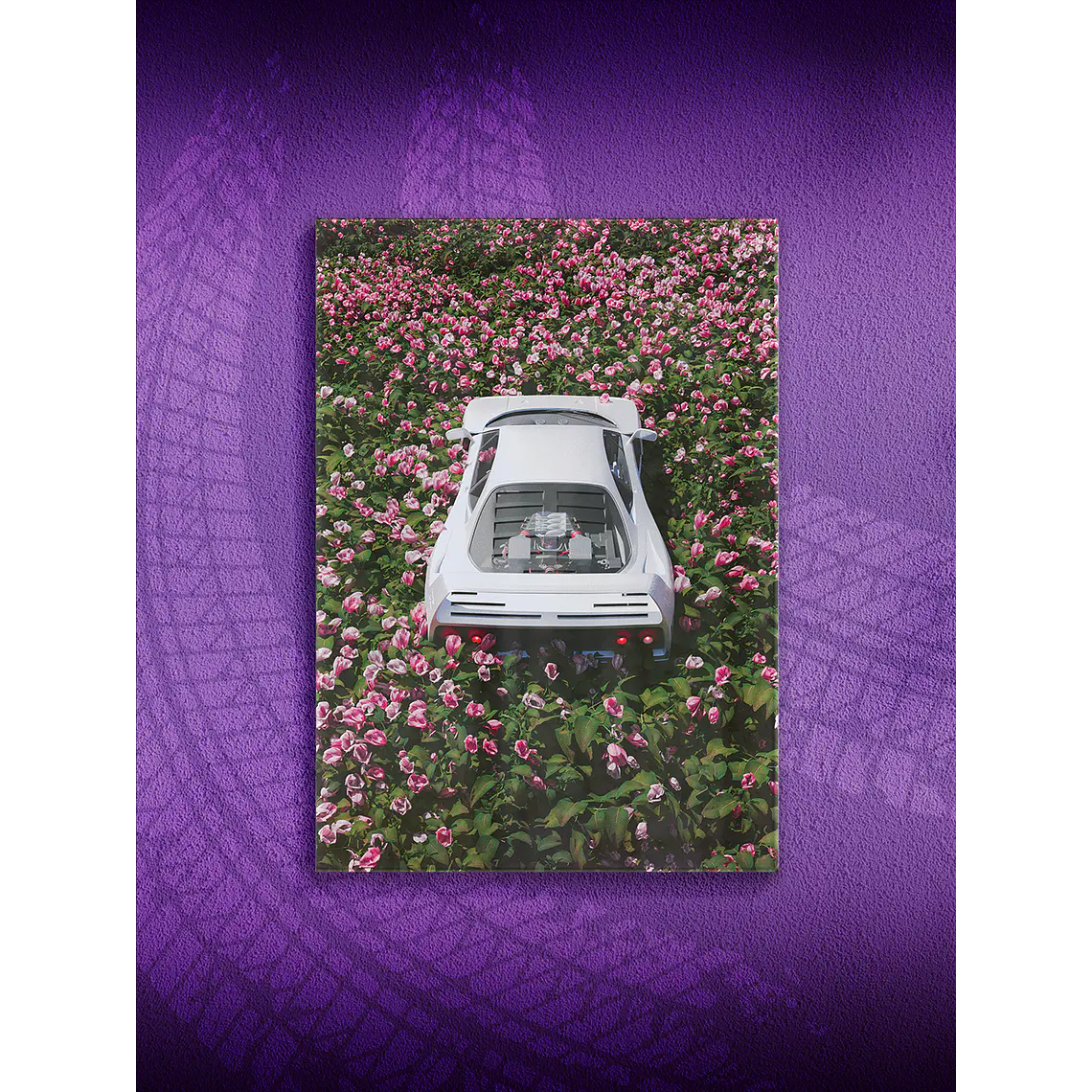 [P3]  FerrariRose 1