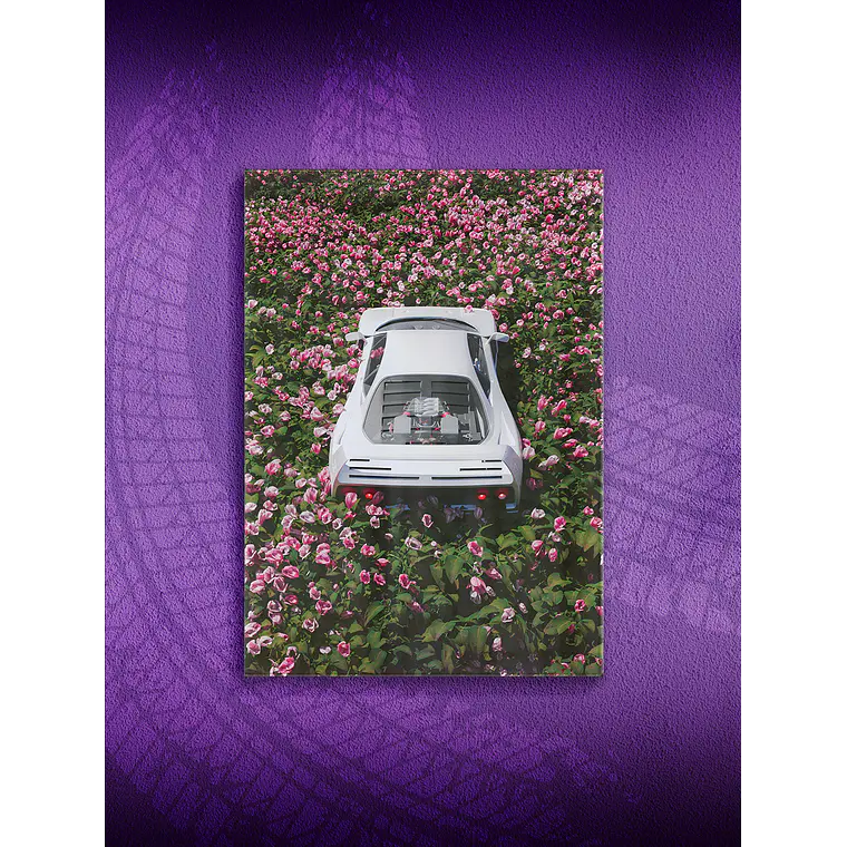 [P3]  FerrariRose 1