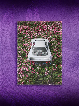 [P3]  FerrariRose