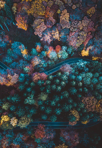 Fotografias Drone