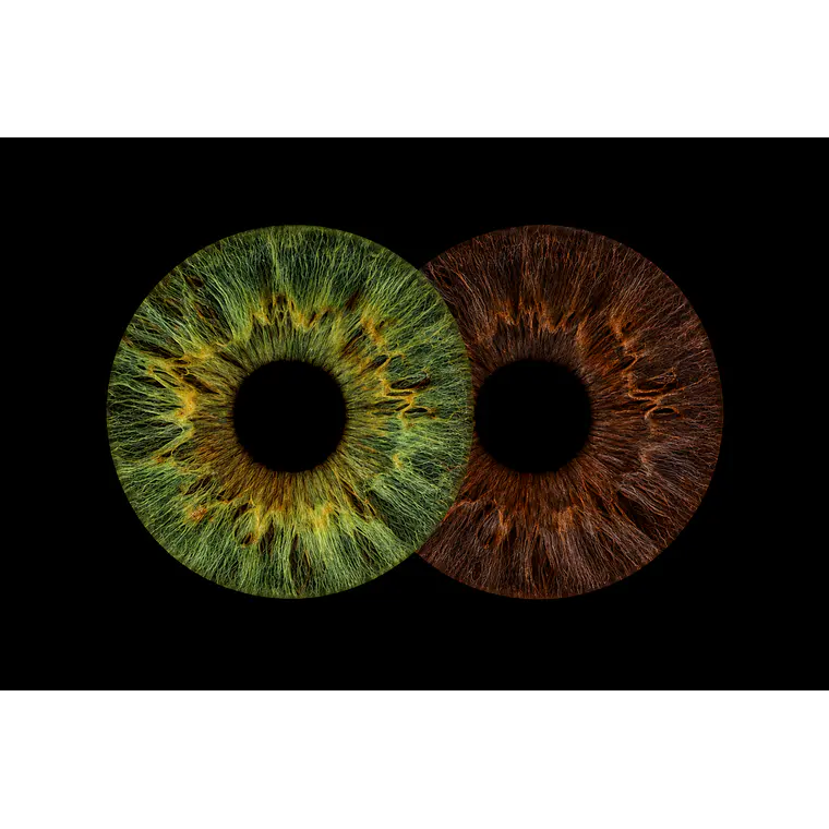 Íris Dupla Retangular [57cm x 37cm]  2