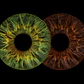 Íris Dupla Retangular [57cm x 37cm]  - Thumbnail 2