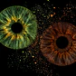 Íris Dupla Retangular [57cm x 37cm]  - Thumbnail 3