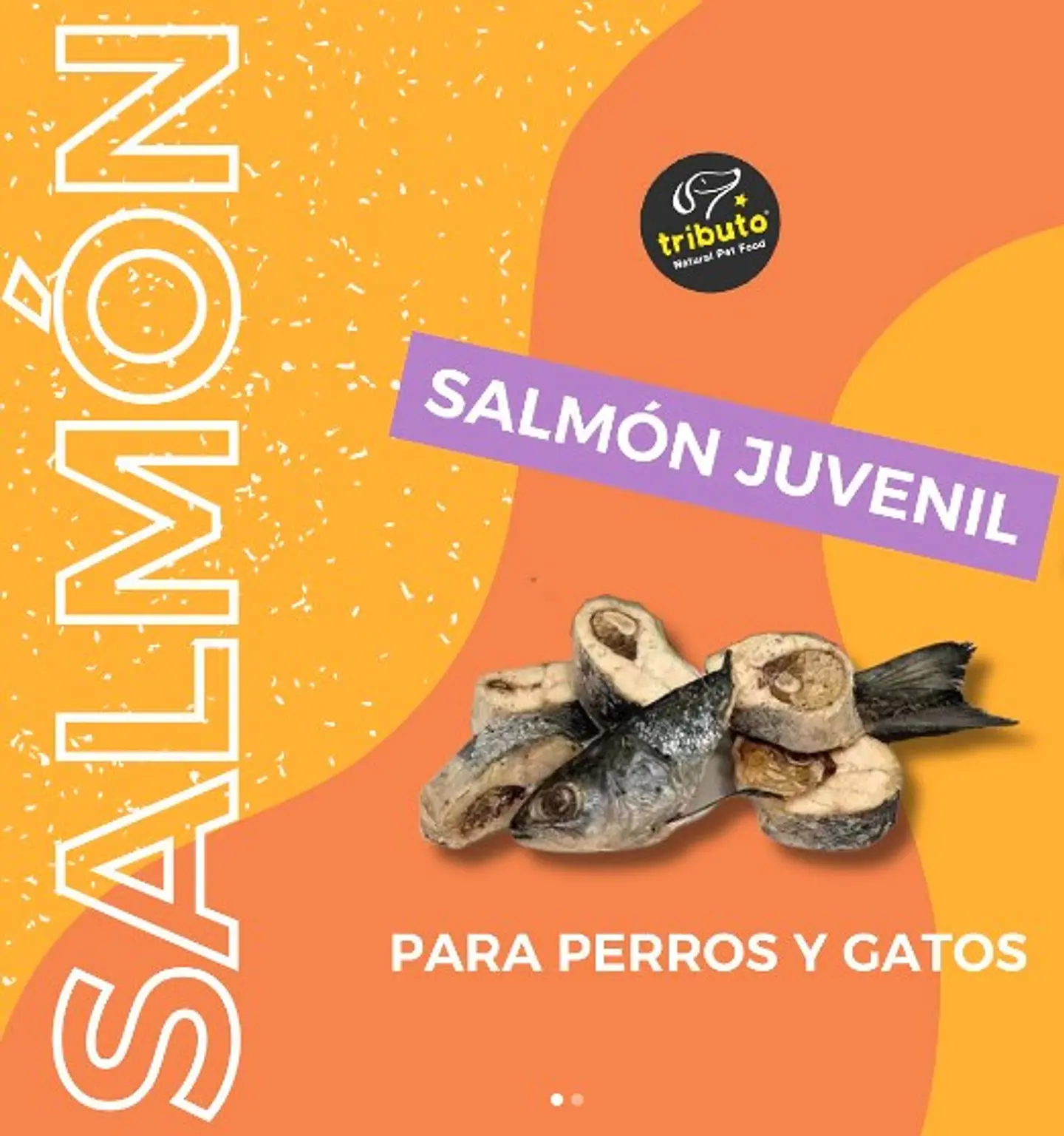 Salmones juveniles 100 g Snack natural TRIBUTO 2