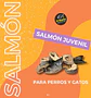 Salmones juveniles 100 g Snack natural TRIBUTO - Miniatura 2
