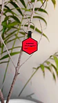 Hexágonos (3 cm) Placa de identificación de mascotas - Miniatura 13