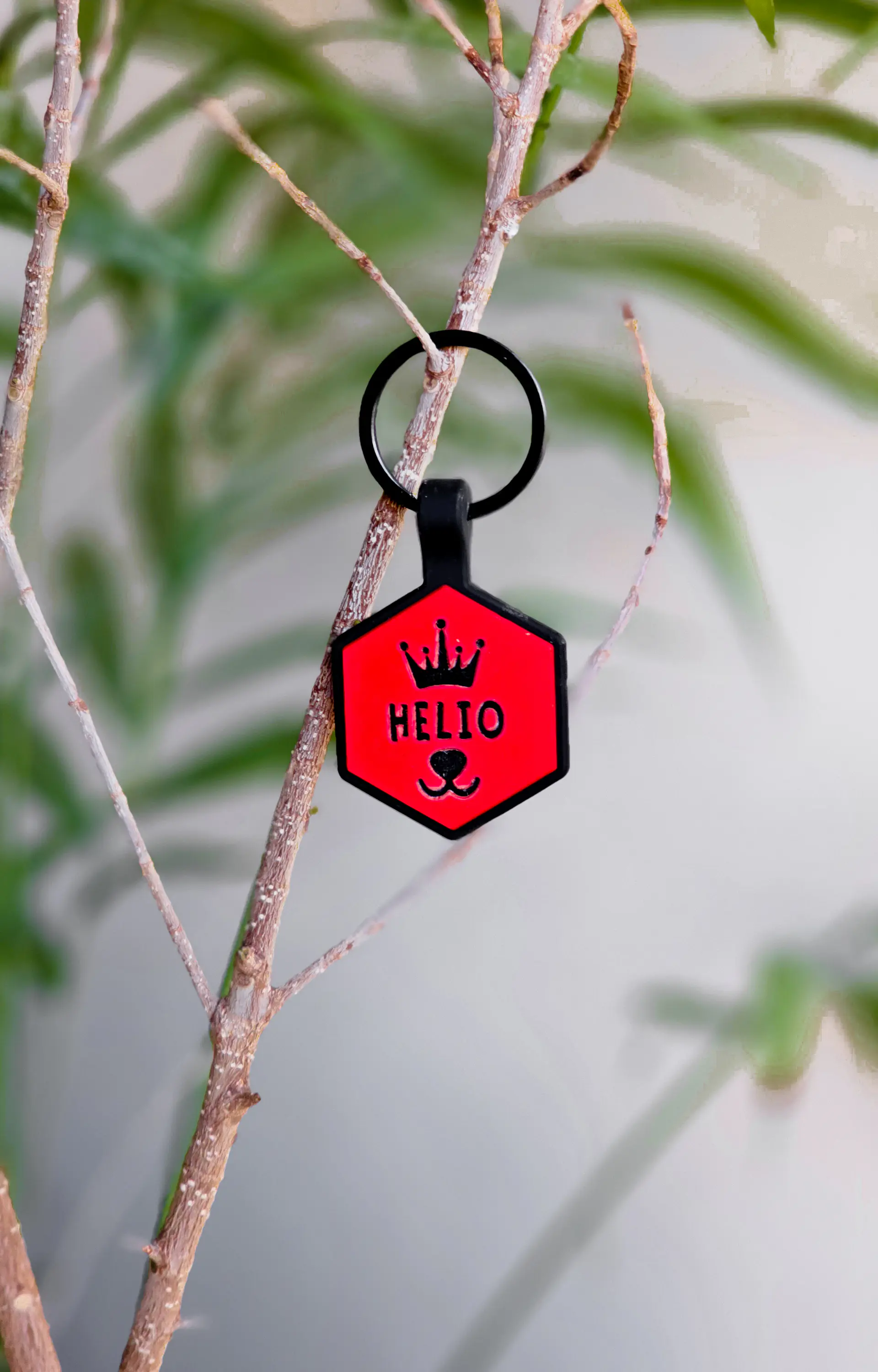 Hexágonos (3 cm) Placa de identificación de mascotas 17