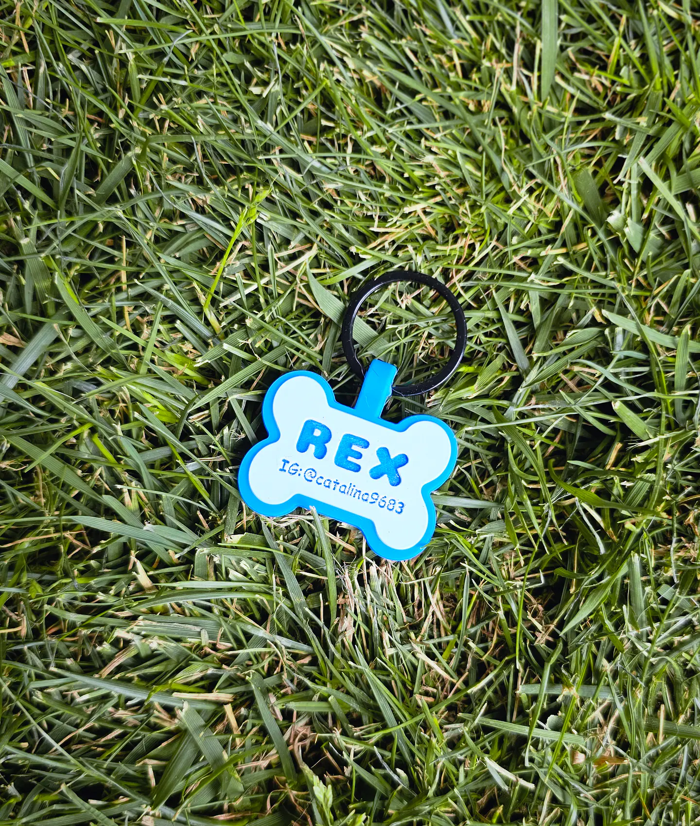 Huesitos (4 cm) Placa de identificación de mascotas 10