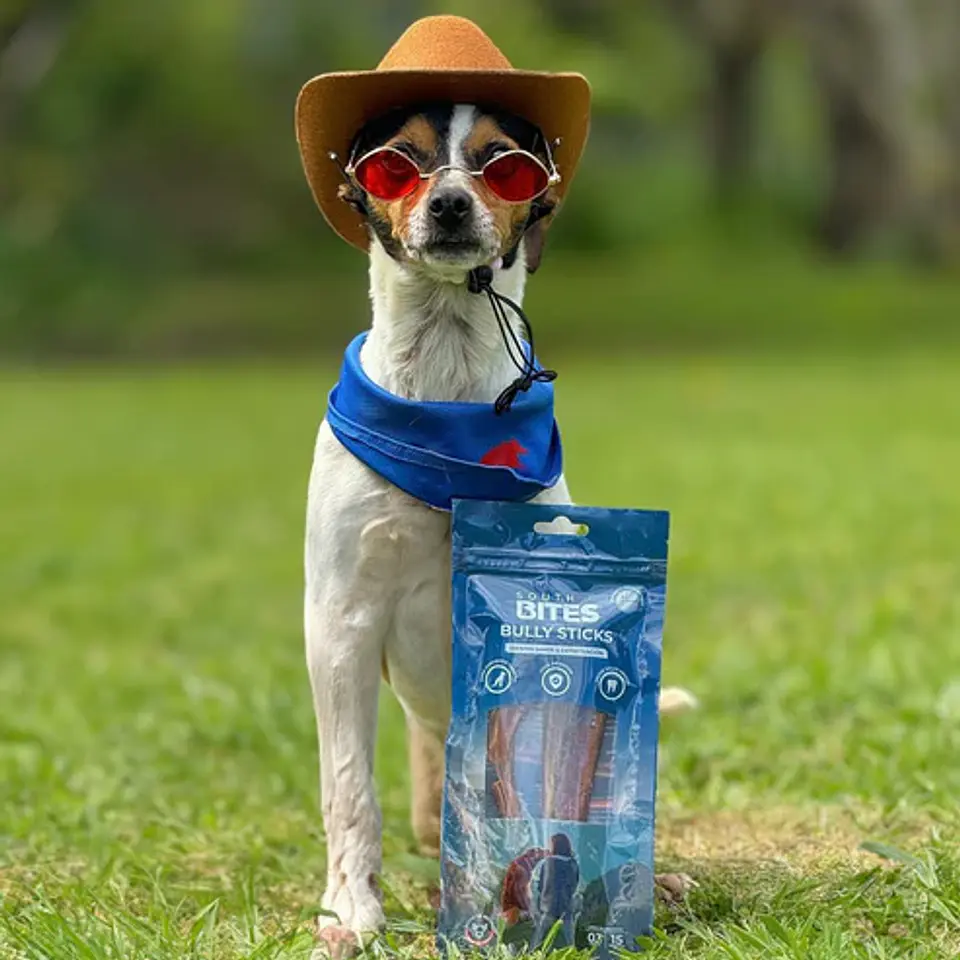 Bully sticks 15 cm (3 unidades) - South Bites 3