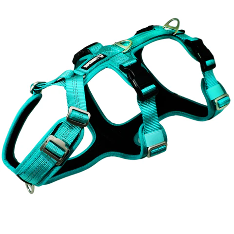 Arnés Anti-escape y Anti-tirones SUPERMUTT (Perro) TURQUESA