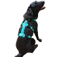 Arnés Anti-escape y Anti-tirones SUPERMUTT (Perro) TURQUESA - Miniatura 6