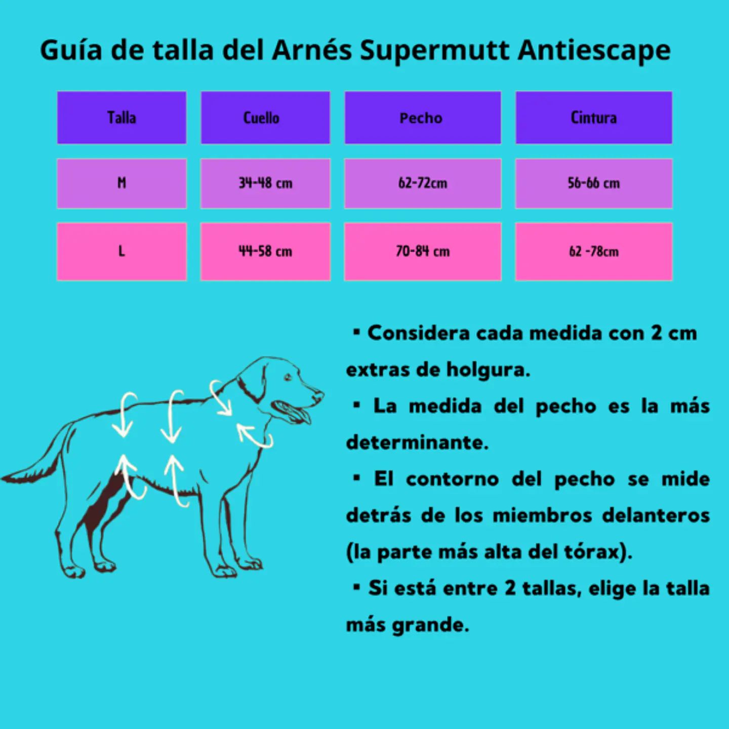 Arnés Anti-escape y Anti-tirones SUPERMUTT (Perro) TURQUESA 7