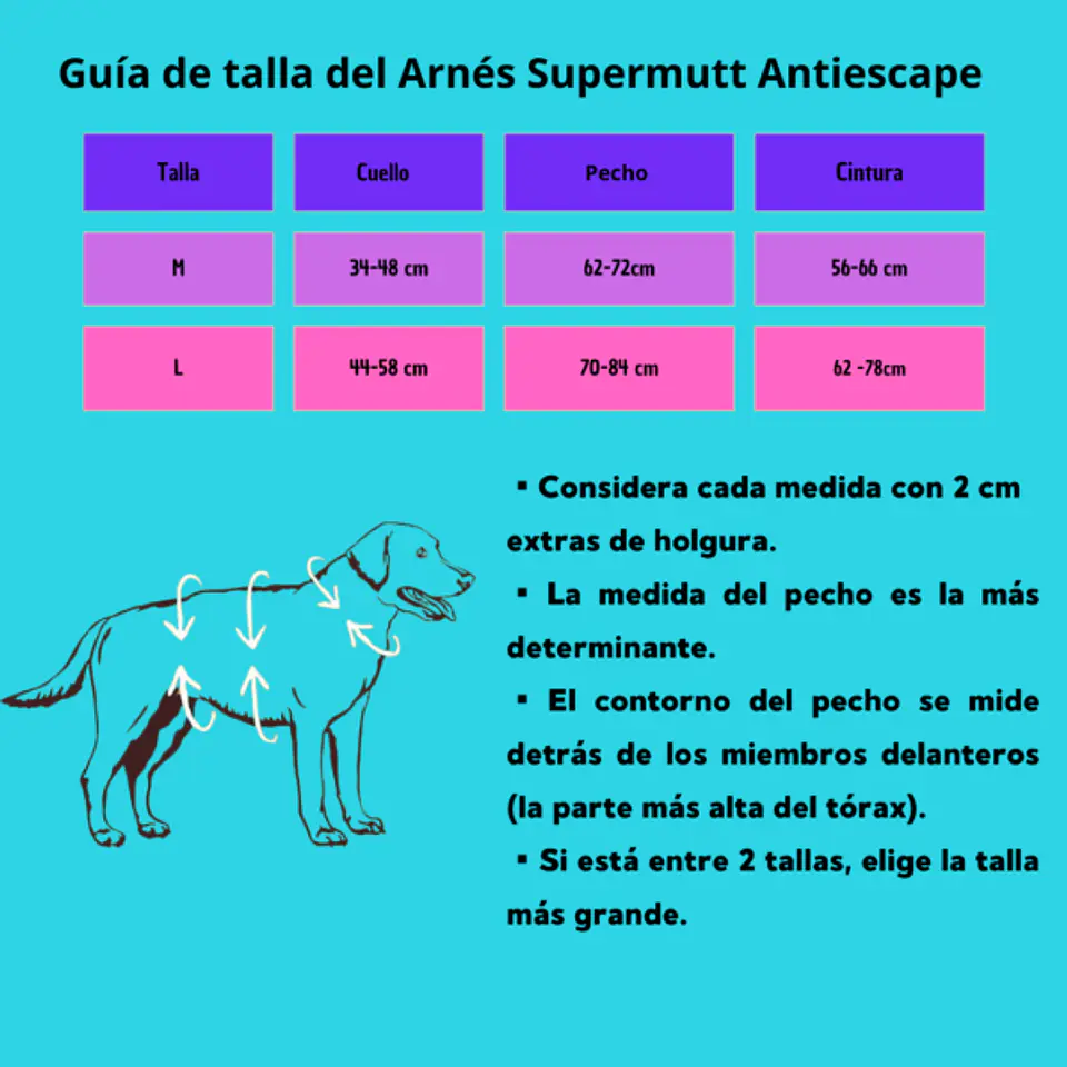 Arnés Anti-escape y Anti-tirones SUPERMUTT (Perro) TURQUESA 7