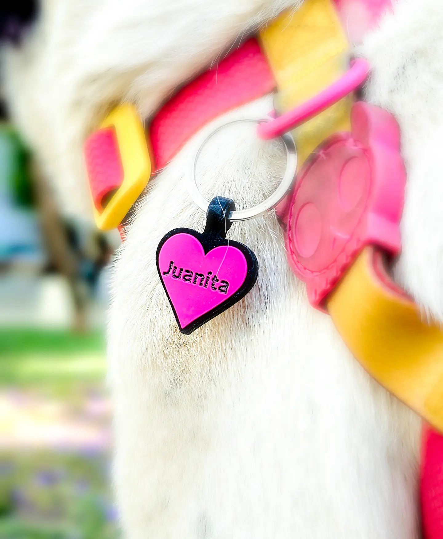 Corazón (3 cm) Placa de identificación de mascotas 8