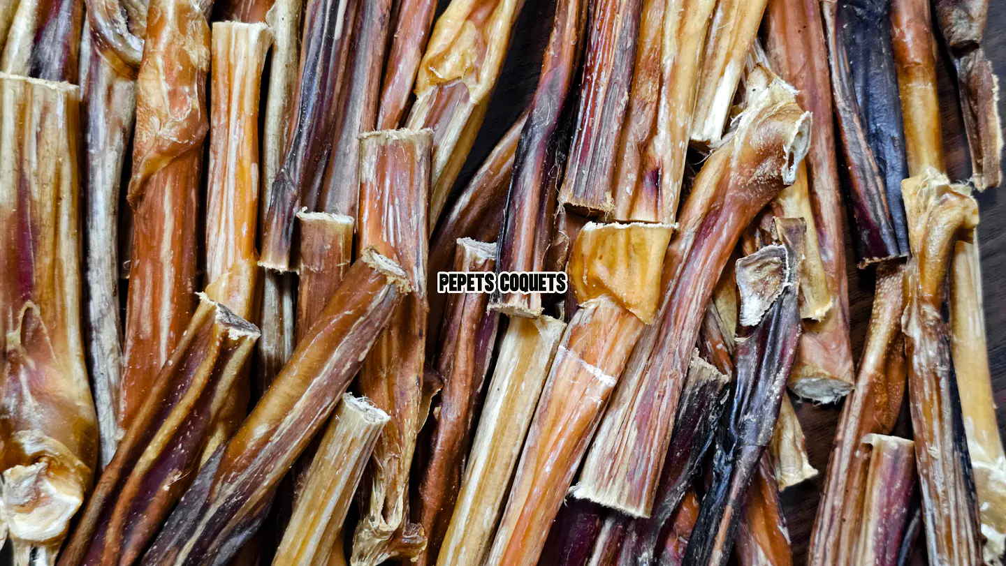 Bully stick 10-12 cm (1 unidad) RAHUE Snack natural 2