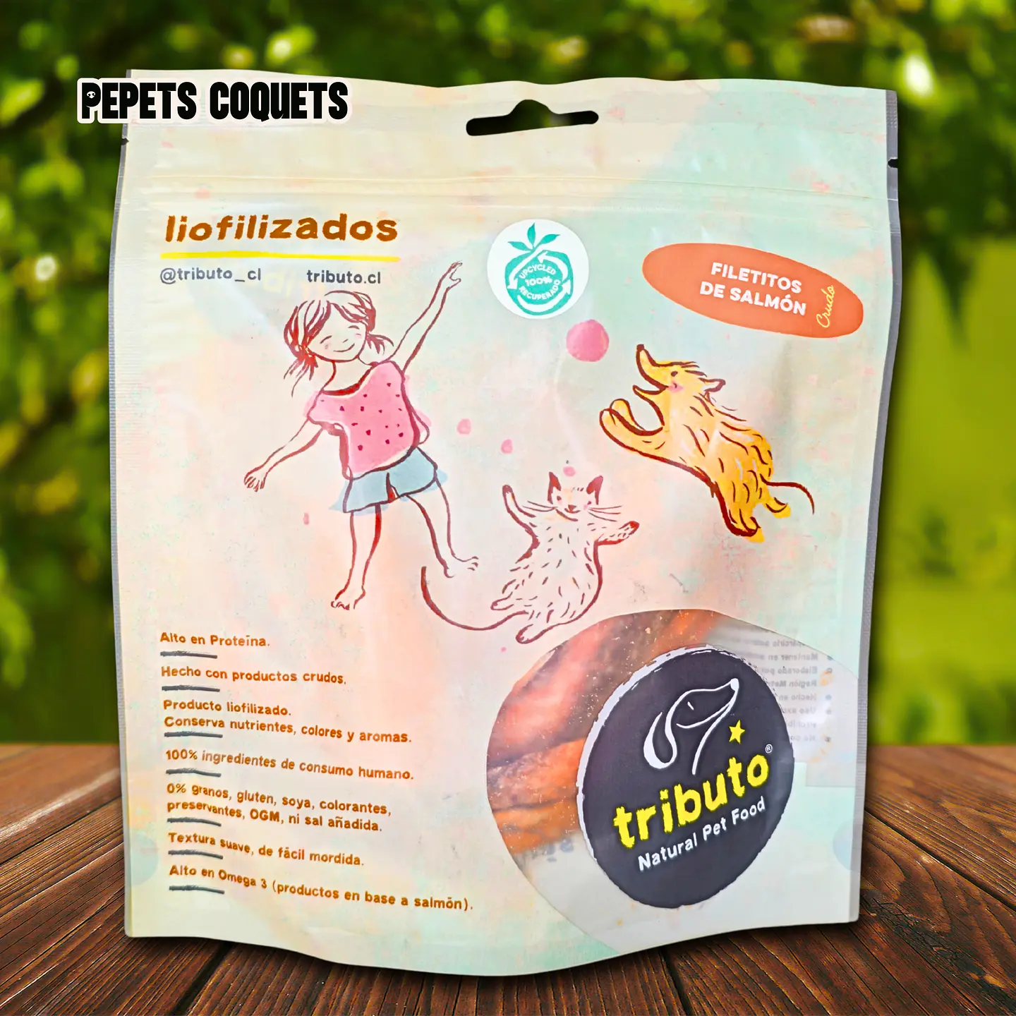 Filetitos de salmón 100 g Snack natural TRIBUTO 1