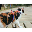 Arnés para gato