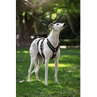 Arnés Anti-escape y Anti-tirones SUPERMUTT (Perro) NEGRO 4