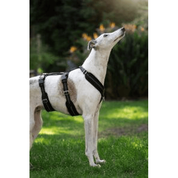 Arnés Anti-escape y Anti-tirones SUPERMUTT (Perro) NEGRO 2