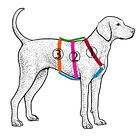 Arnés Anti-escape y Anti-tirones SUPERMUTT (Perro) ROSA-MORADO 4