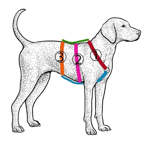 Arnés Anti-escape y Anti-tirones SUPERMUTT (Perro) ROSA-MORADO 4