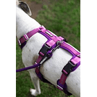 Arnés Anti-escape y Anti-tirones SUPERMUTT (Perro) ROSA-MORADO 2