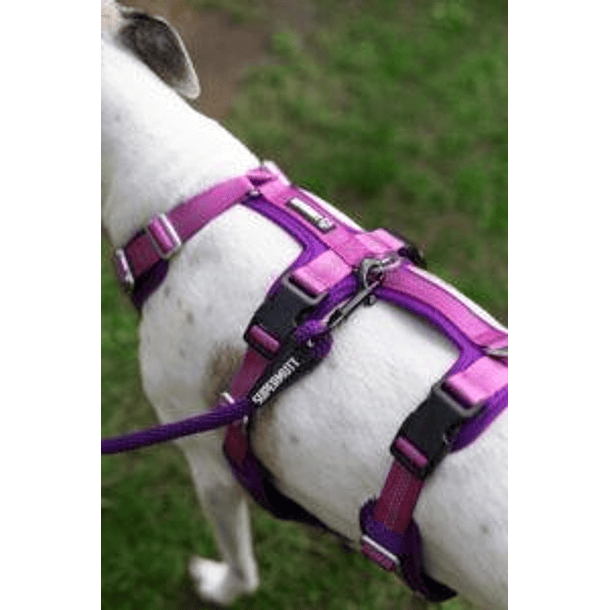 Arnés Anti-escape y Anti-tirones SUPERMUTT (Perro) ROSA-MORADO 2