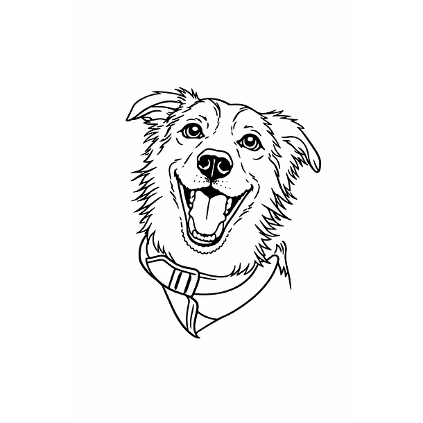 Ilustración personalizada (retrato, personaje, siluetas de animales o personas, etc.)