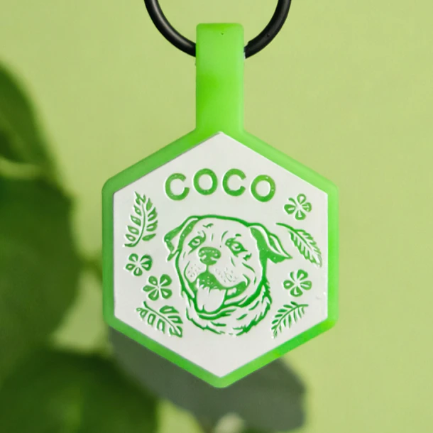Hexágonos Luminosos (3 cm) Placa de identificación de mascotas 3