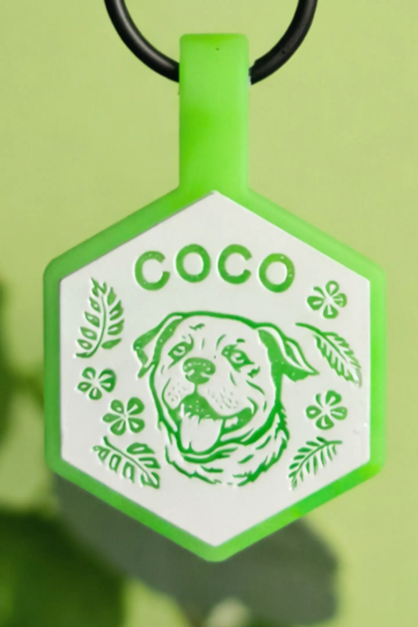 Hexágonos Luminosos (3 cm) Placa de identificación de mascotas 3