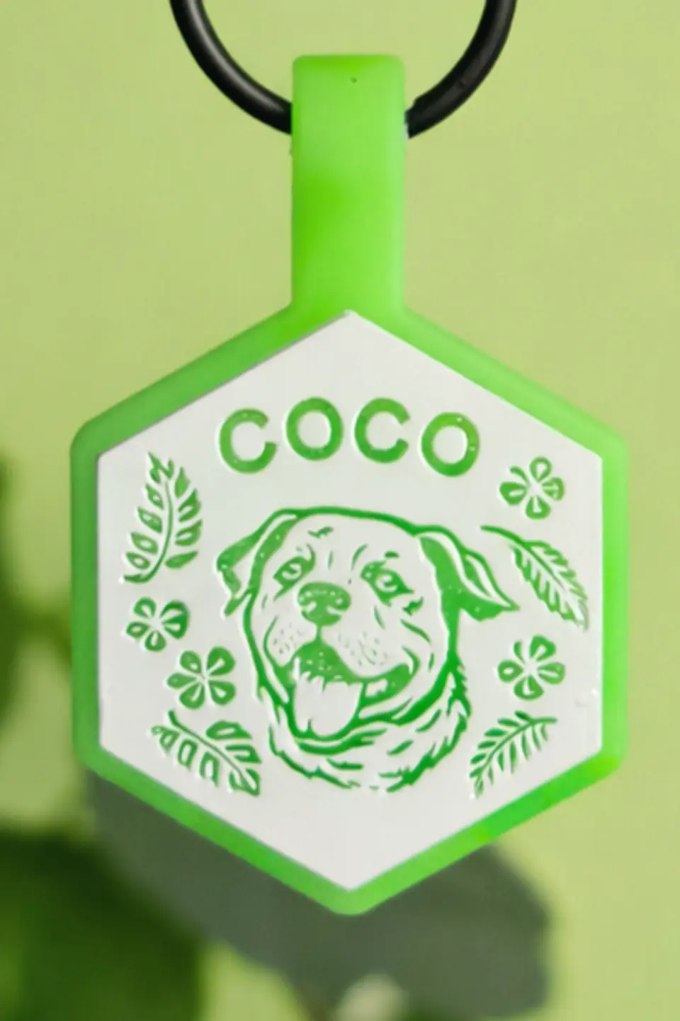 Hexágonos Luminosos (3 cm) Placa de identificación de mascotas 3