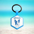 Hexágonos Luminosos (3 cm) Placa de identificación de mascotas 1